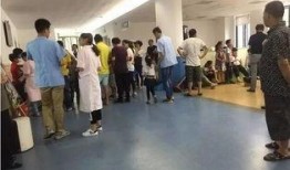 宁波小学爆料事件最新,揭开校园安全与管理的隐秘面纱